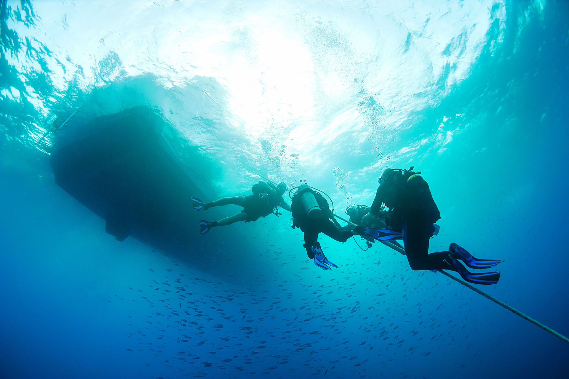quality Scuba Diving BCD factory