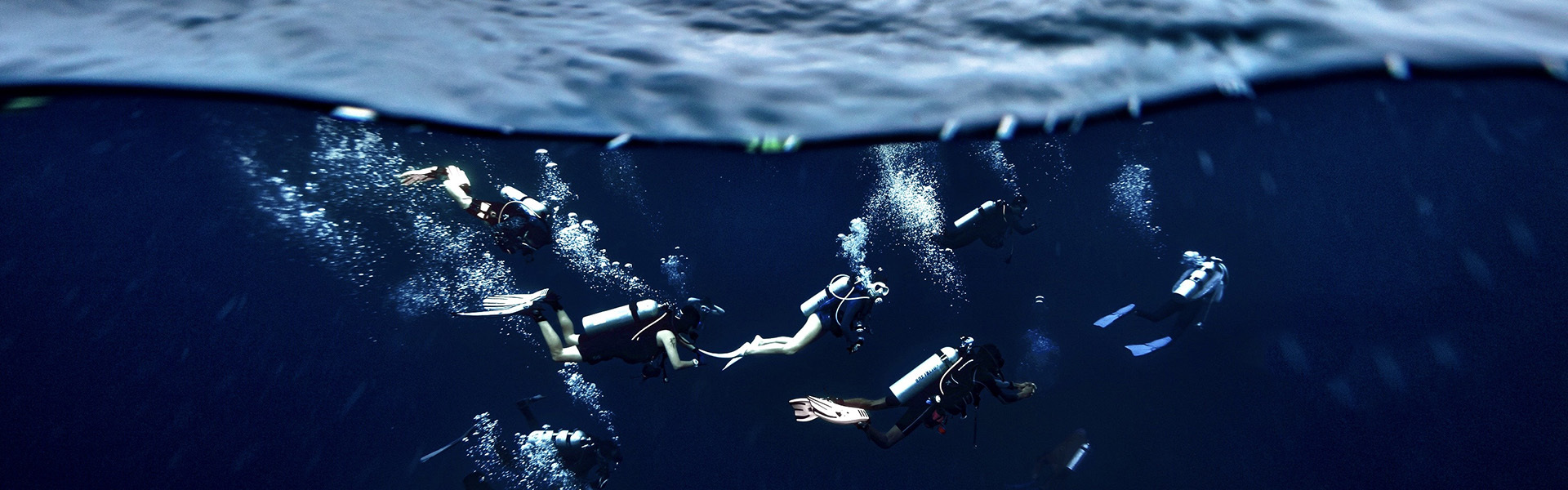 quality Scuba Diving BCD factory