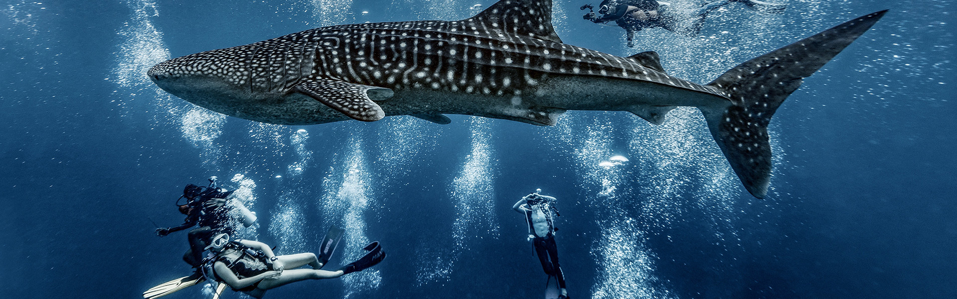 qualità GAV per immersioni subacquee fabbrica
