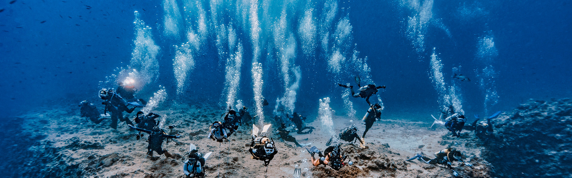 quality Scuba Diving BCD factory